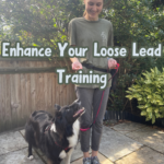 A blonde woman in a green shirt with a black and white Border Collie dog at her right heel. She is holding a lead that is attached to the dog's harness. They are smiling at each other.