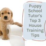 A puppy sits next to a roll of toilet paper. Text reads: "Puppy School Tutor’s Top 3 House Training Tips.