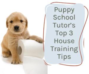 A puppy sits next to a roll of toilet paper. Text reads: "Puppy School Tutor’s Top 3 House Training Tips.