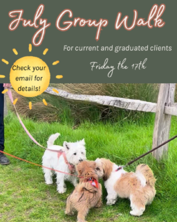 *Weather permitting! 🌞  Join the July group walk on Friday the 17th - suitable for all ages!  If you’re not sure if it would be a good environment for your pup, send me a message or DM and we can chat. 