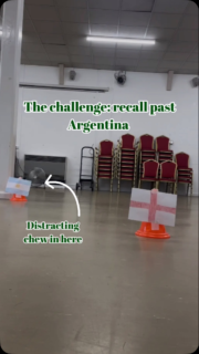 Will the @puppyschooluk Barnes pups help England bring it home? ⚽️🏴󠁧󠁢󠁥󠁮󠁧󠁿

Had to have a bit of fun with tonight’s class 😂

Maybe there’s good luck that the match is in my hometown of Atlanta tonight?? 🤞🏻

Please ignore my terrible camera angles, I will learn one day! 🤦🏼‍♀️ 

#puppyschooluk #puppyclass #dogtraininglondon