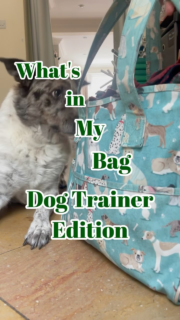 ✨What’s in my dog training bag??✨  An eclectic array of items…  Is your training bag as chaotic as mine? 😅  Some items worth mentioning:
🐾 @thedoghouseftf toys
🐾 @naturesmenuonline treats 🐾 @jrpetproducts calf hooves and paste 
🐾 @perfectfitharness Paco Pouch  A thrilling watch I have to say! 😂  Featuring a curious Quinny   Funny how there’s no need for any scary looking tools in there! 👀  #ethicaltraining #positivedogtraining #whatsinmybag