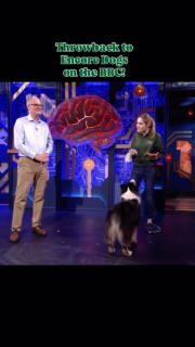 A little #ThrowbackThursday to being on the BBC with Freya!
We were asked to join the Royal Institution Christmas Lectures to show how dogs learn through positive reinforcement 🧠
The whole lecture on AI is on @bbciplayer and it’s a very interesting watch!
So proud of Freya on her first TV outing, it was a lot for a young, bouncy dog and she did so well! ❤️
#dogsontv #tricktraining #positivetraining #positivereinforcement