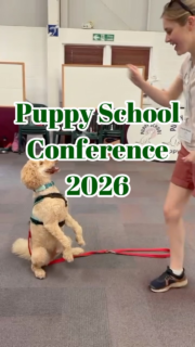 Had the most wonderful time last weekend at the @puppyschooluk conference! 🐶

An incredible lineup of workshops and talks from some of the best in the industry!

🎶 Heelwork to music with @kimlyddoncaninefreestyle and @h.thompsondogtraining 

Honestly SO blown away to see these guys working in person! Anyone who knows me knows that HTM is my favourite dog sport 😍

🤲🏻 Consent based handling with @louiseotterdogbehaviour 

Honestly felt like a meditative yoga retreat for doggos 🧘🏼‍♀️

🐕‍🦺 Loose lead walking with @claire.luscombe.71 

So much brilliant info and fascinating observations about how we teach lead walking!

🪮 Prepare to care with @woodysholisticgrooming 

It was so fantastic to see how patience and care can change dogs lives ❤️

🐘 Cooperative Care of Exotic Animals with Educating Animals

Was lovely to revisit this after my time at Paington last year. An important reminder that putting welfare first actually benefits everyone involved!

👧🏼 @kadkidsarounddogs 

Great to see an organisation dedicated to kids safety around dogs and love their welfare-focussed approach to school dogs. 

And thank you to @wilde.dogs for letting me steal Kevin and the sausages!! 

#puppyschooluk #puppyschoolconferece #puppyschoolbarnes