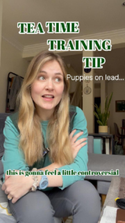 I don’t let puppies greet other dogs on lead…👀
�UNLESS these 3 things are happening:�🐾they approach calmly�🐾The other dog is comfortable interacting�🐾The greeting only lasts a few seconds��If greeting look like:�❌puppy barks and/or pulls towards the other dog when they see them�❌ jumping in the other dog’s face�❌a wrestling match with maypole leads

Then you need to rethink on-lead greetings!

Puppies get excited and it’s ok!

Some tips to help:
⭐️Work at a distance first
⭐️Only greet when calm and have a loose lead
⭐️Teach puppy to move on quickly
⭐️Don’t say hi to every dog you see!

For more tips, follow me @encoredogs 😊

Happy training!

#dogtraining #dogtrainingadvice #puppyadvice #puppytraining #puppysocialisation dogtrainingtips